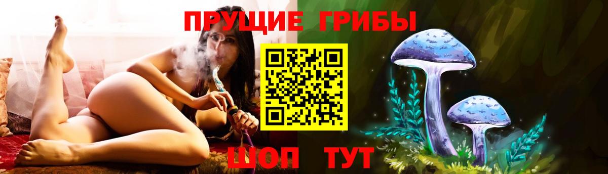 Галлюциногенные грибы MAGIC MUSHROOMS  Псилоцибиновые грибы MAGIC MUSHROOMS  Вход с VPN  хочу наркоту  Стрежевой 